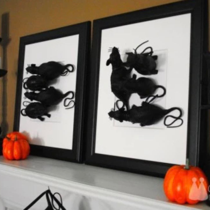 Halloween DIY Art Project - 3D rats in frames