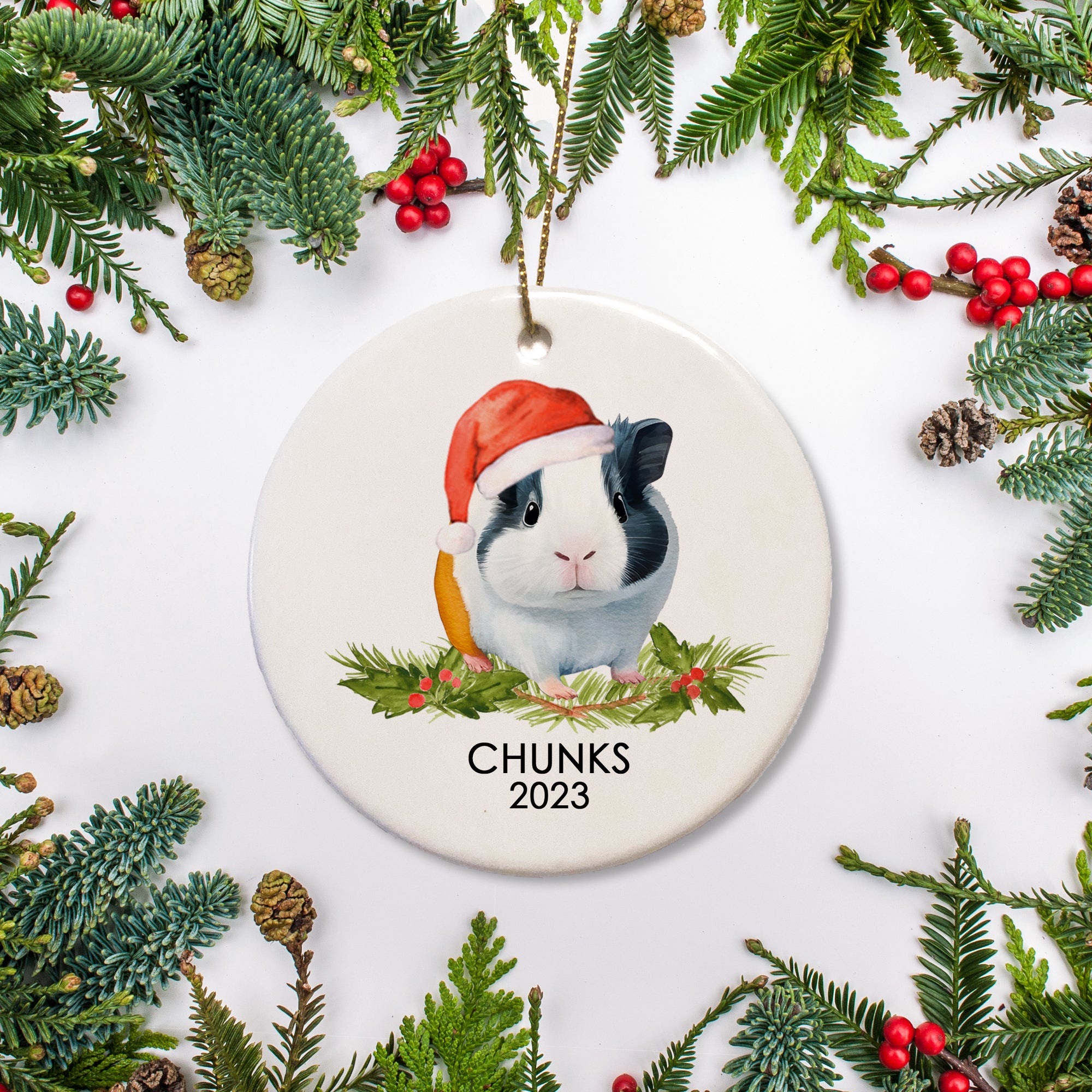 A special ornament for a special guinea pig. This is ceramic and includes a name and date for a  gray and white