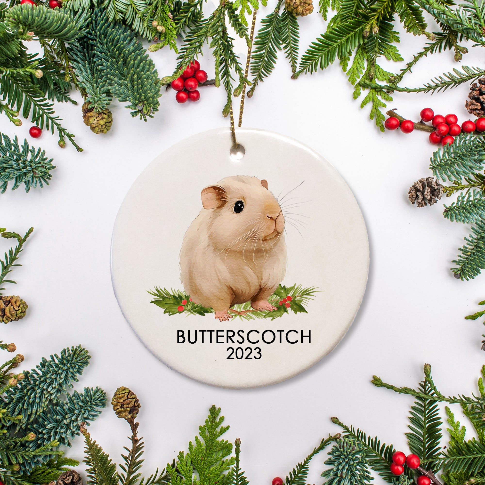 A special ornament for a special guinea pig. This is ceramic and includes a name and date for a  cream guinea pig