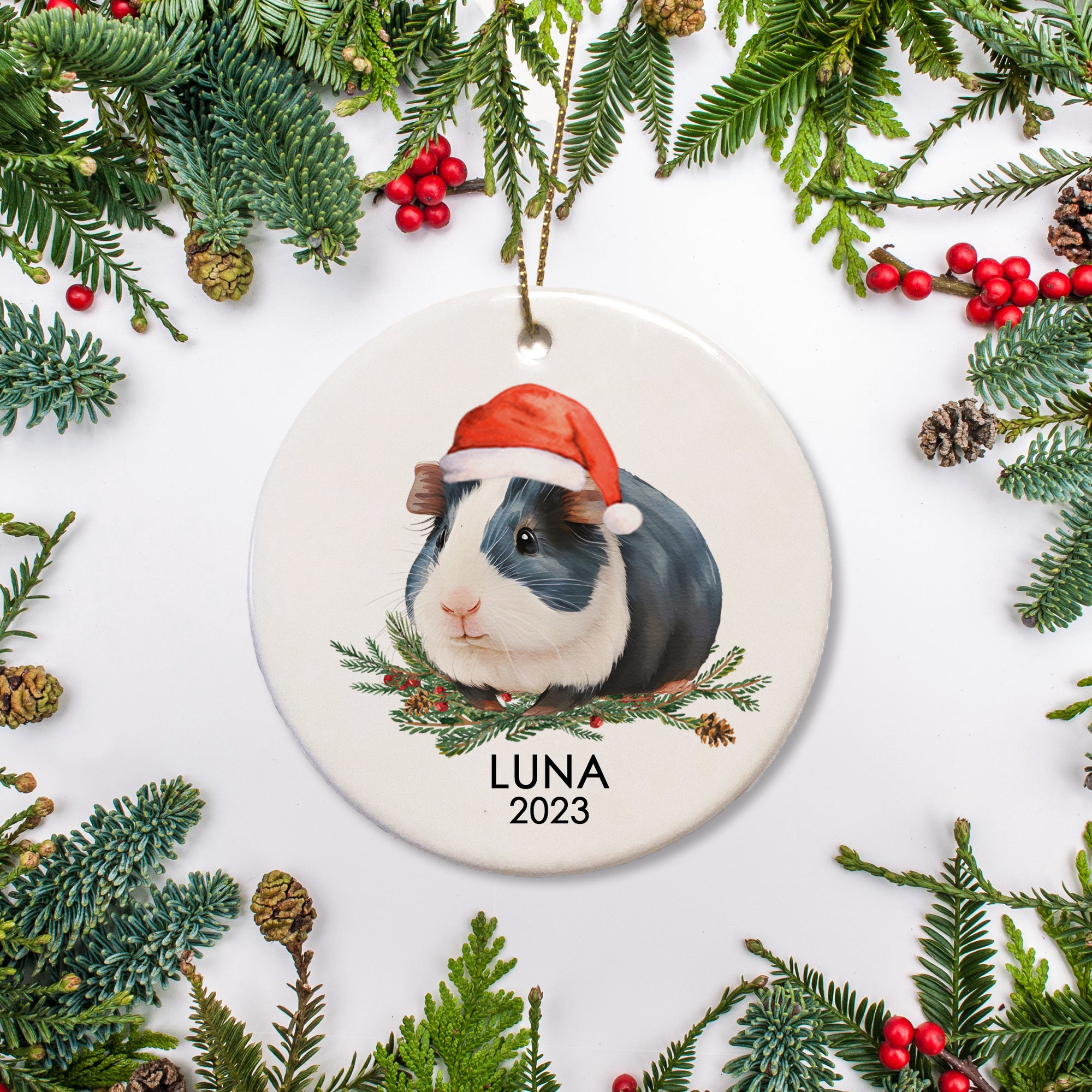A special ornament for a special guinea pig. This is ceramic and includes a name and date for a  bicolor guinea pig