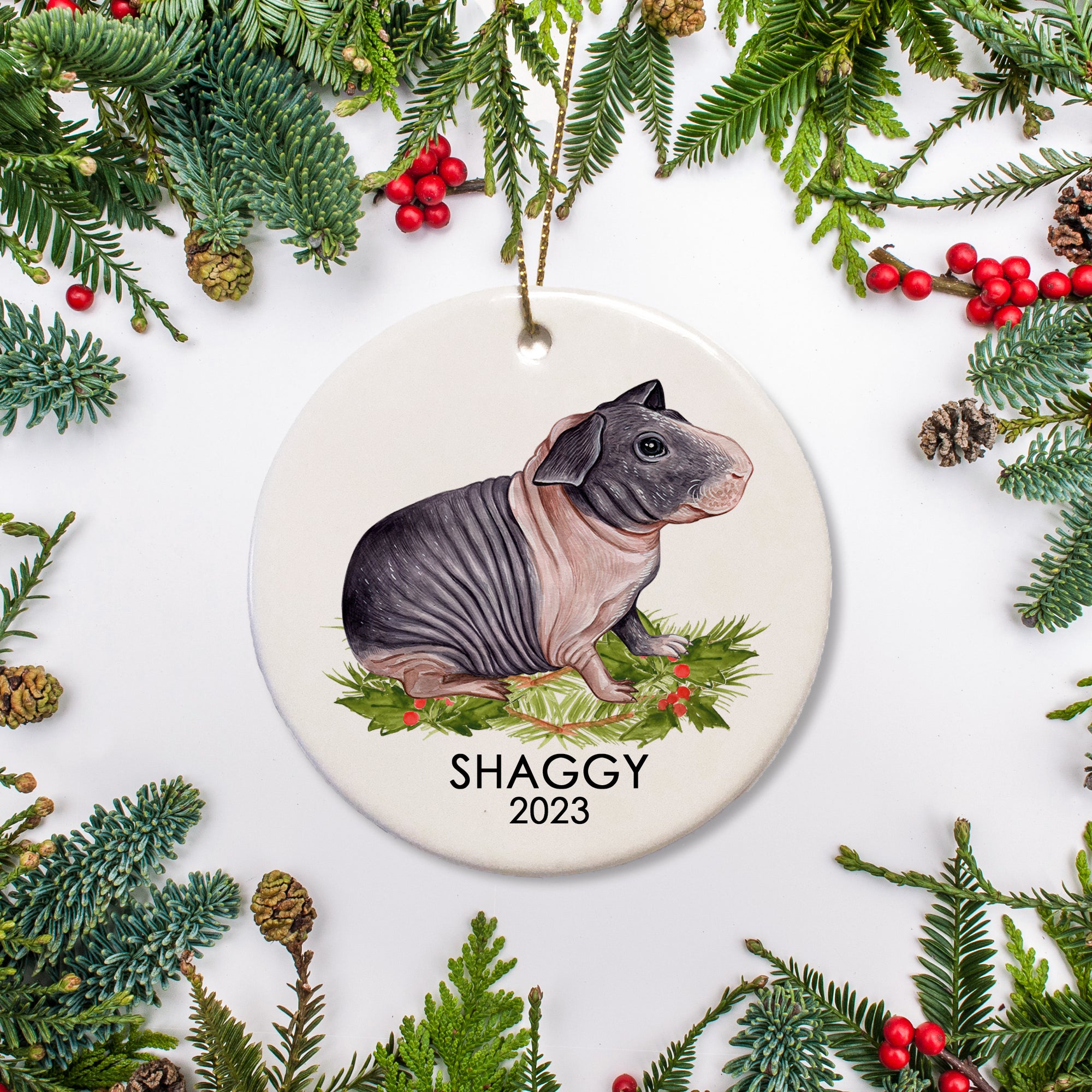 A special ornament for a special guinea pig. This is ceramic and includes a name and date for a  skinny hairless guinea pig