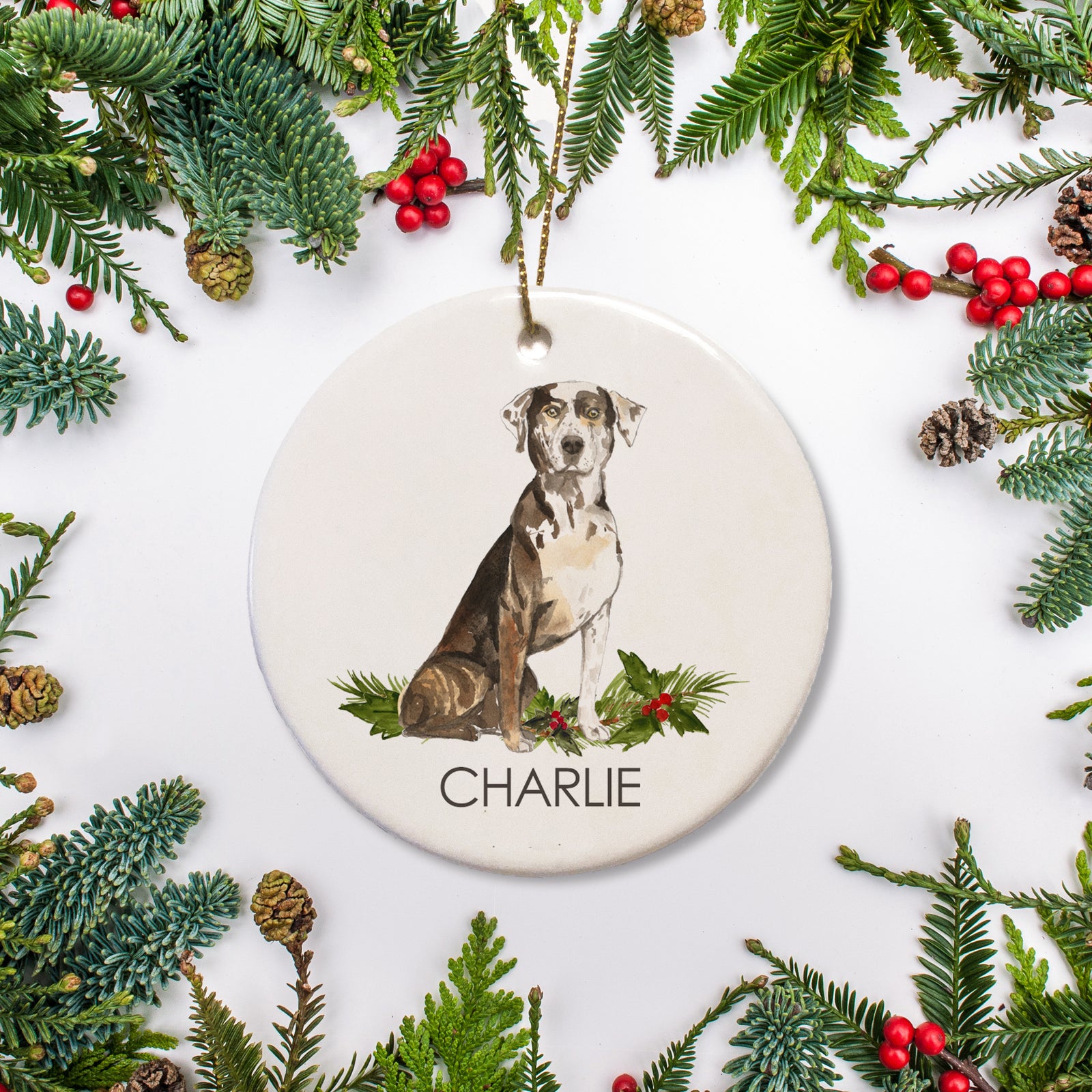Louisiana Catahoula Leopard dog personalized christmas ornament