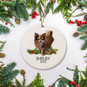 Chihuahua Christmas Ornament, featuring a long haired brown dog on a bed of holly, personalized with the pet's name and the year