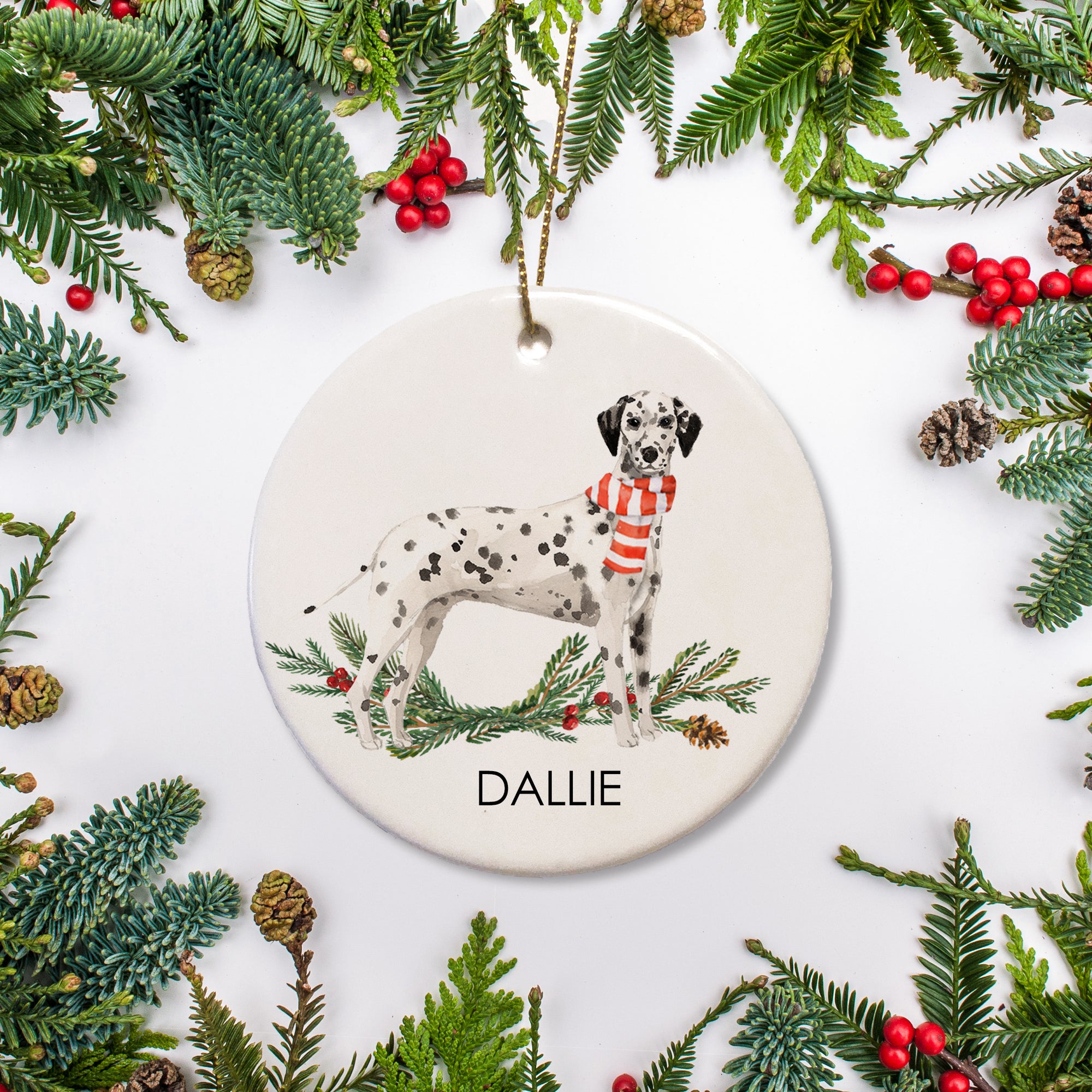This ornament offers a personalized design that includes your beloved Dalmatian on a bed of holly. It's a fun gift for a friend or family member with a Dalmatian, but can also be used as a memorial when a loved pet passes.