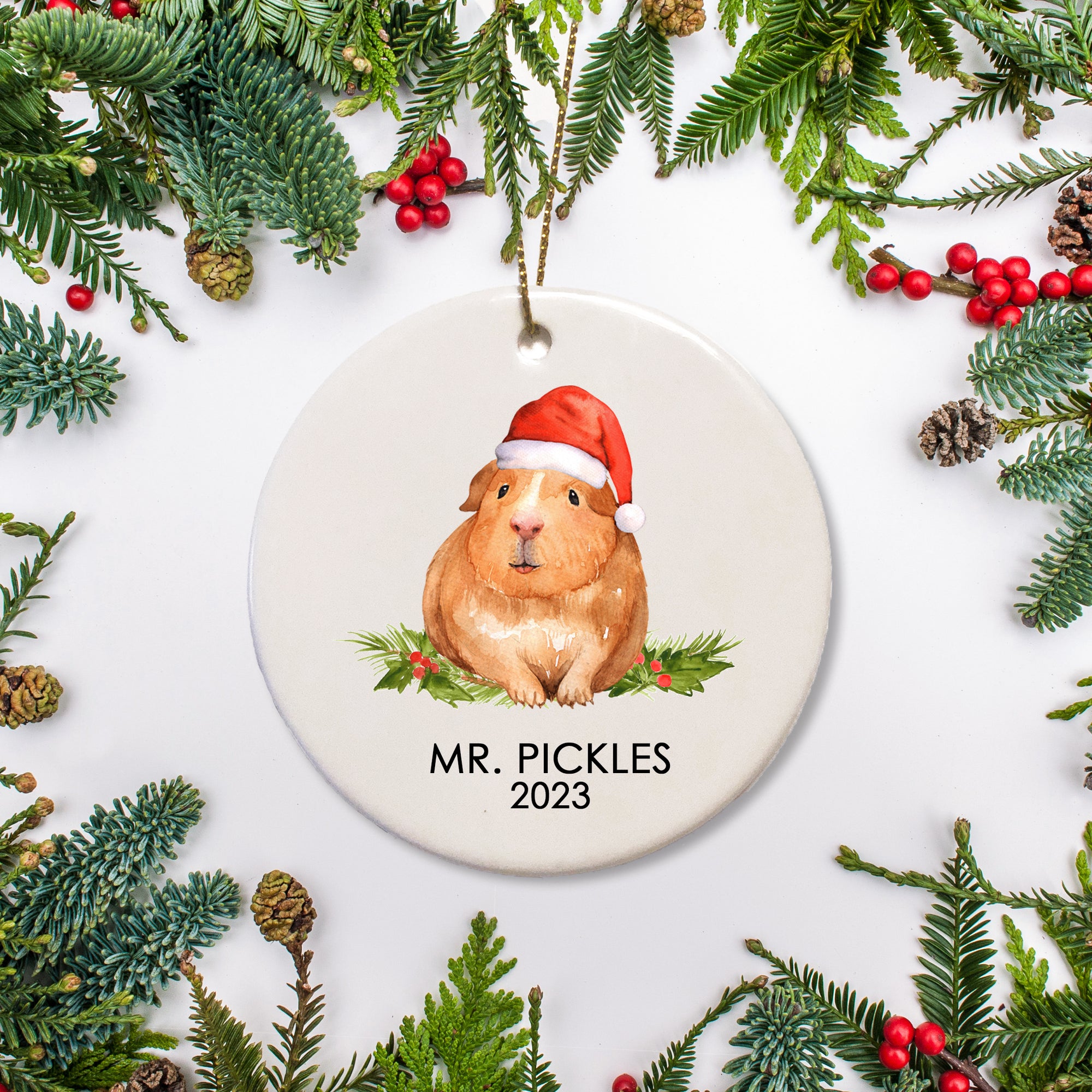 A special ornament for a special guinea pig. This is ceramic and includes a name and date for a  brown guinea pig