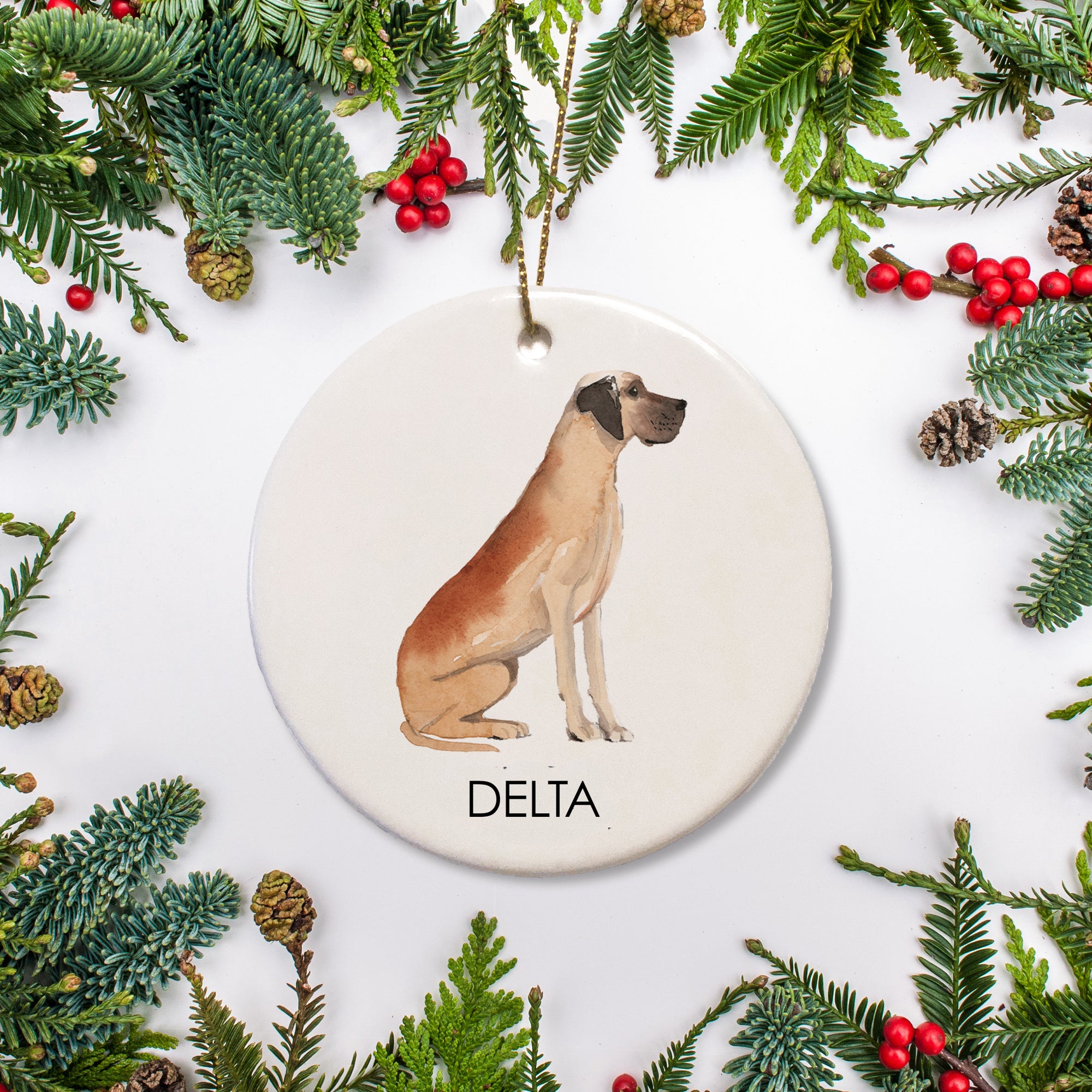This custom Great Dane Christmas ornament features a fawn dane is personalized with your dog's name. It is an excellent way to celebrate your puppy's first Christmas, or to include your family pet in your Christmas tree decor