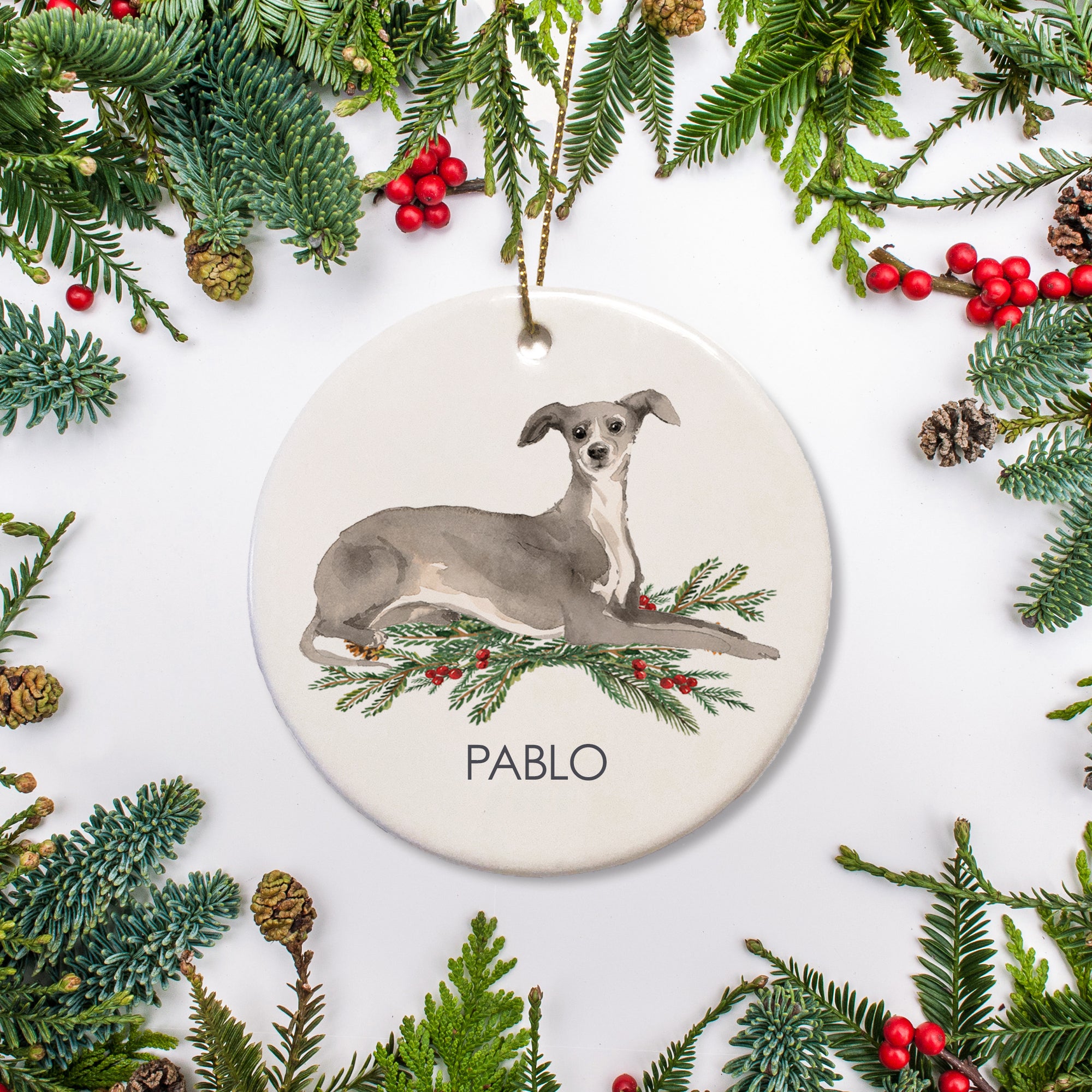 This Christmas ornament showcases your Italian Greyhound with a custom name.It's a great way to include your pet on the family Christmas tree.