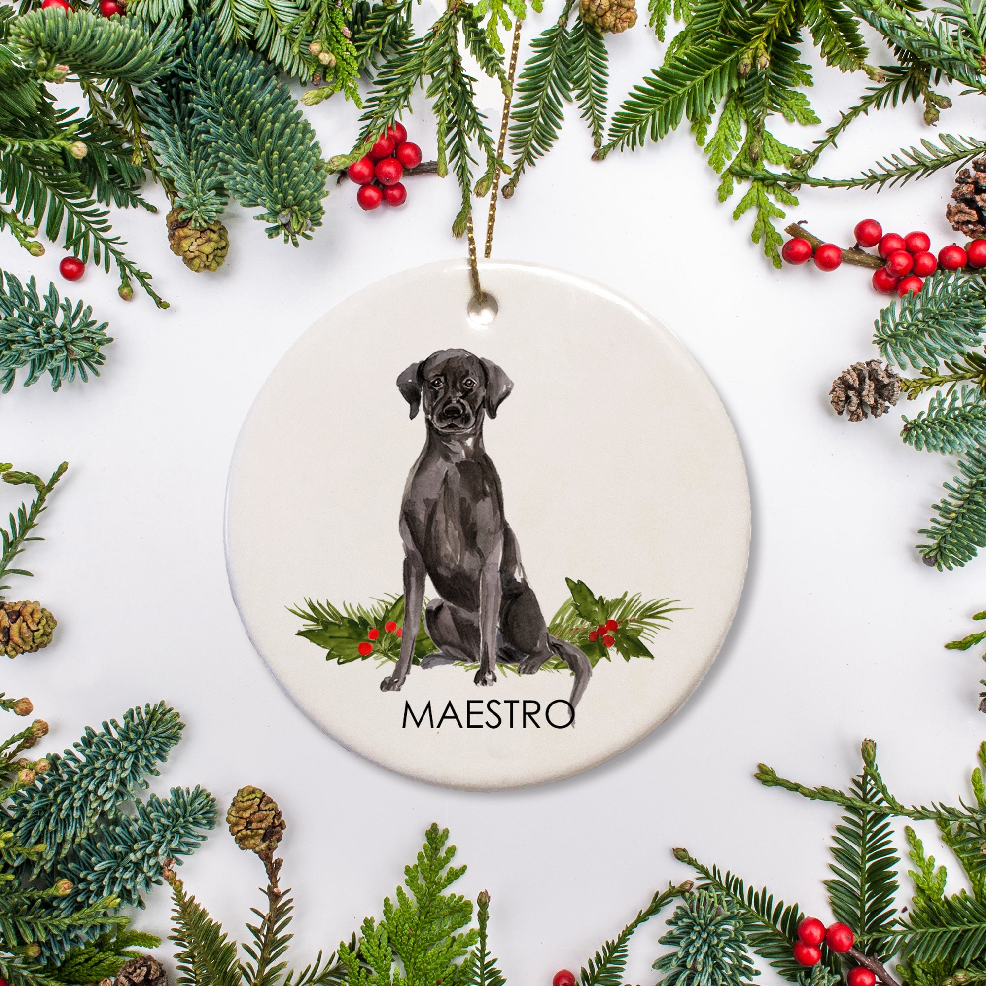 <p><span>This personalized Christmas ornament features a Black Labrador Retriever sitting on a bed of holly. You can even add a date or special message on the back of the ornament.