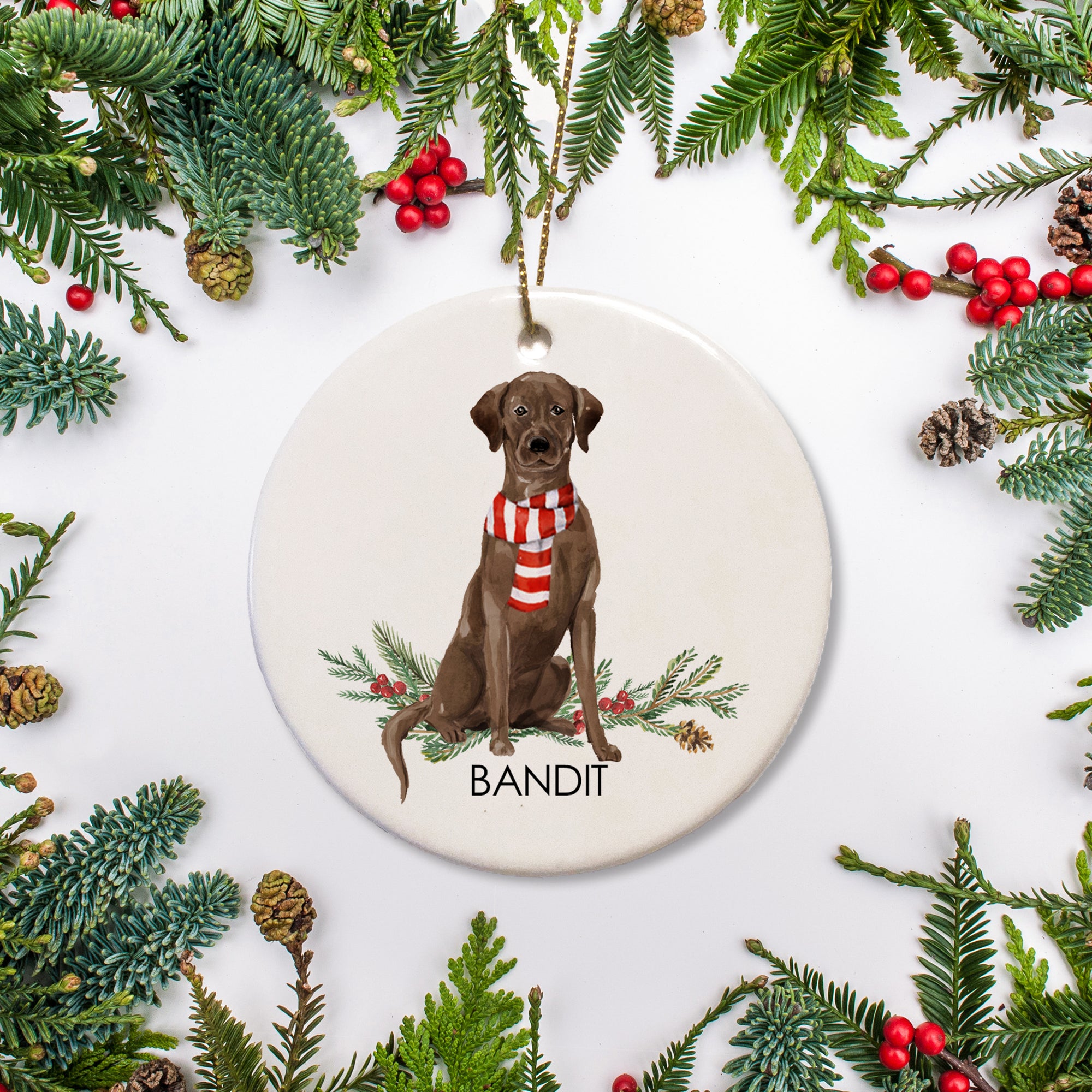 Personalized Chocolate Lab christmas Ornament