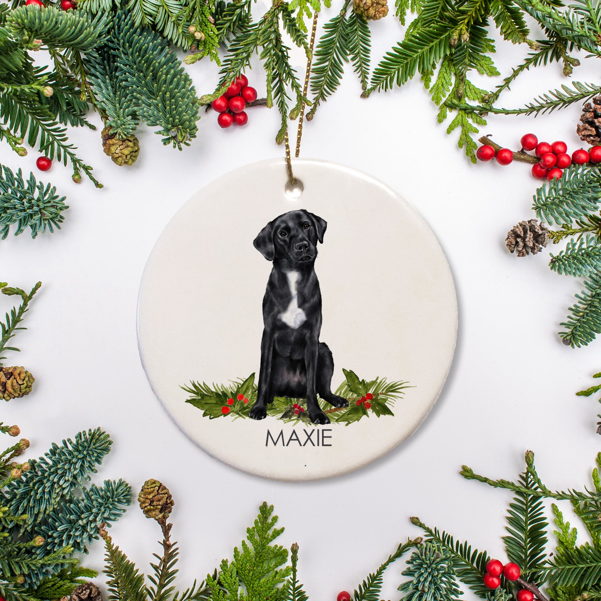 Black Lab Christmas Ornament with white chest, personalized