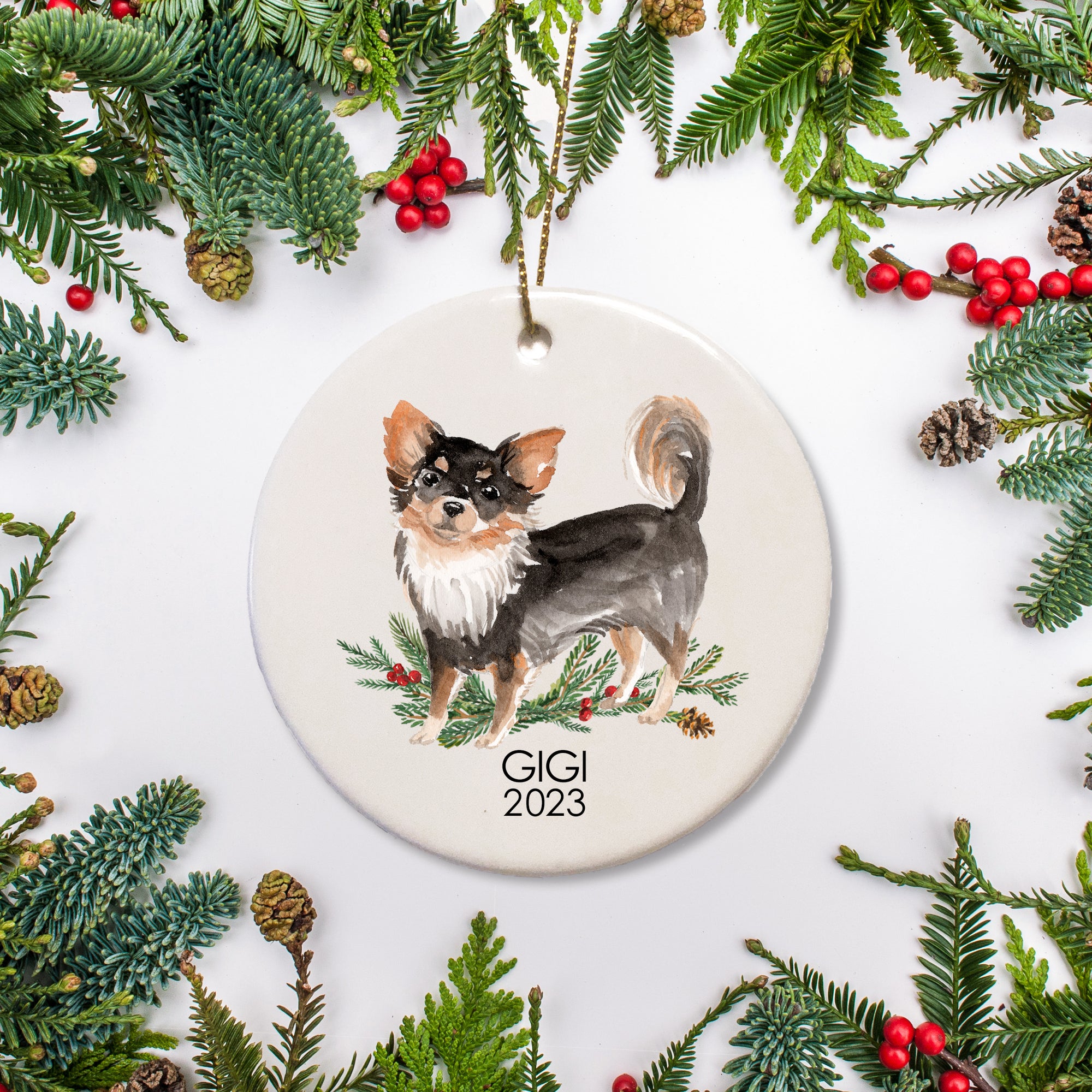Chihuahua Christmas ornament with a long haired toy breed on a bed of holly, personalized with your dog's name