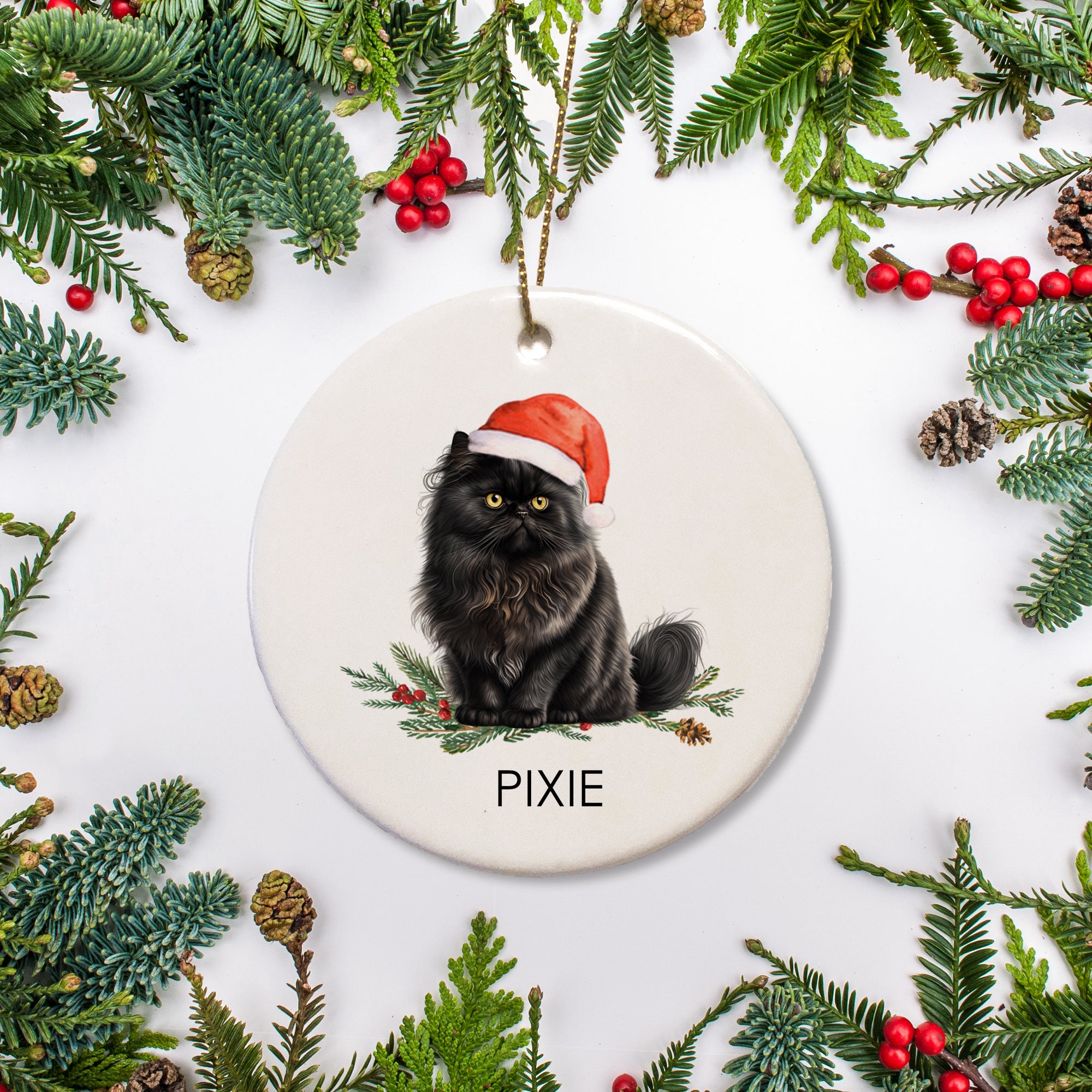 This personalized ornament features a sweet yellow-eyed black Persian cat, along with the name of your choice. &nbsp;It is a lovely gift for any cat lover or way to commemorate your fur baby's first Christmas. 