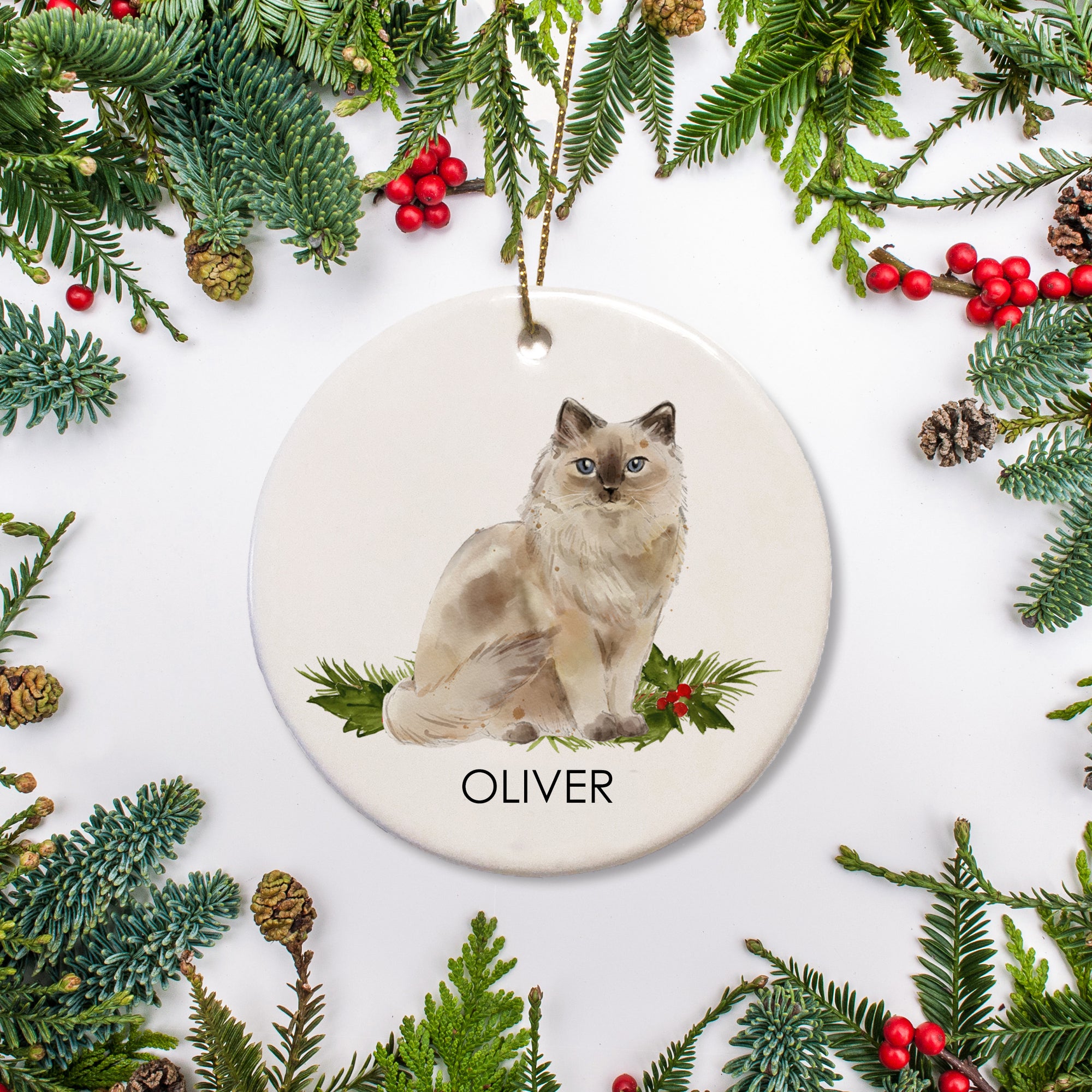 Personalized Christmas ornament - rag doll cat, ragdoll cat sitting on greenery, personalized with name