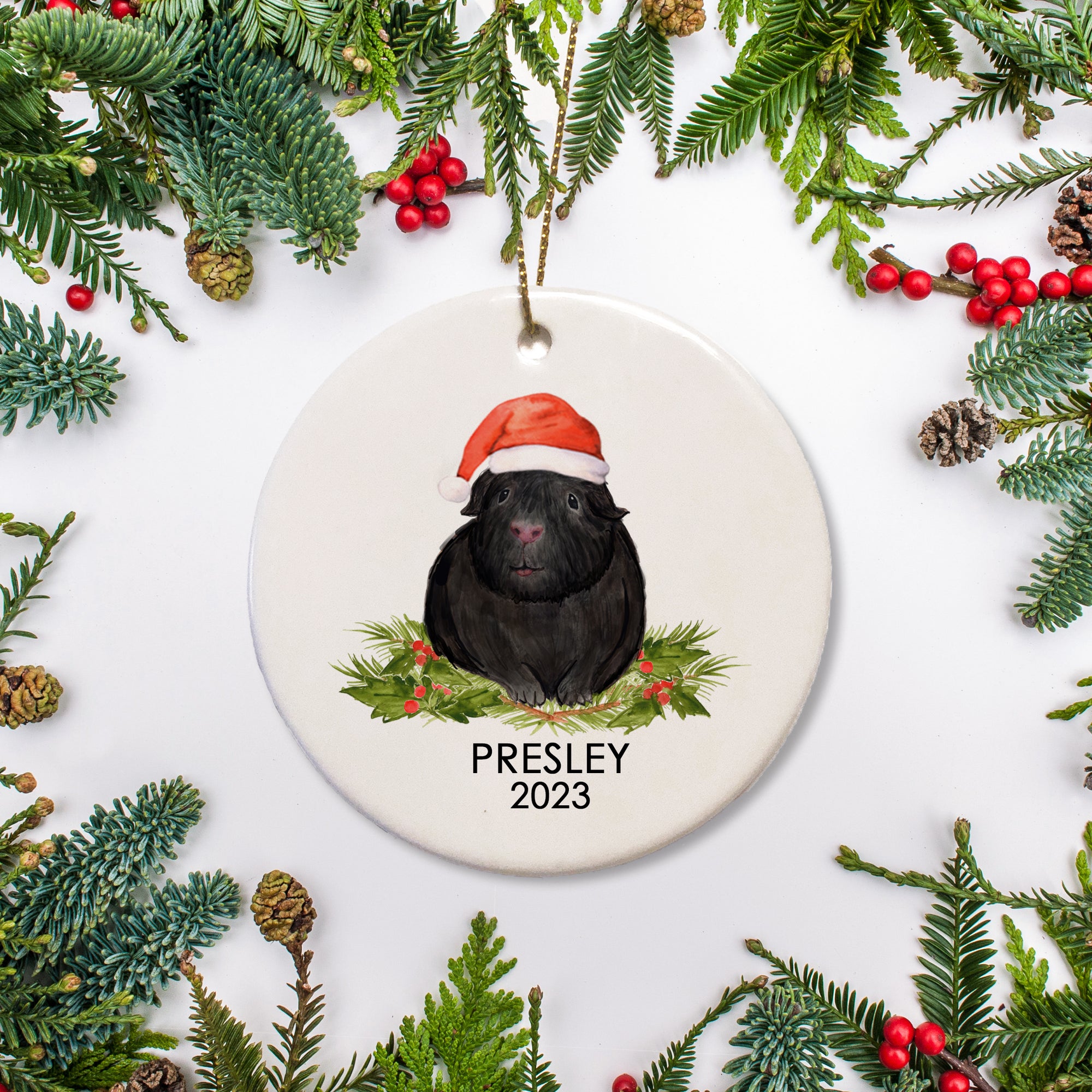 A special ornament for a special guinea pig. This is ceramic and includes a name and date for a  black guinea pig