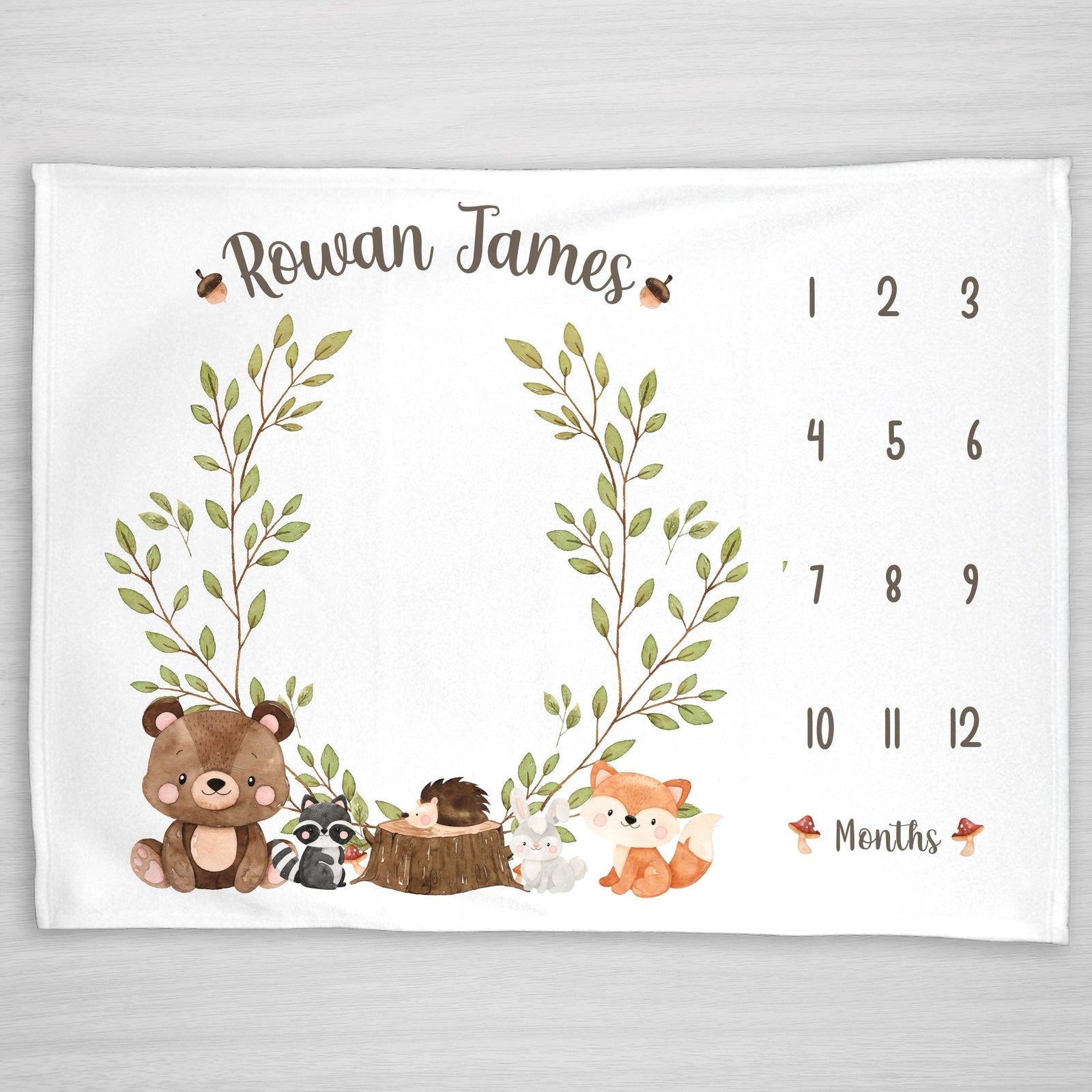 Forest Friends Boy Milestone Blanket