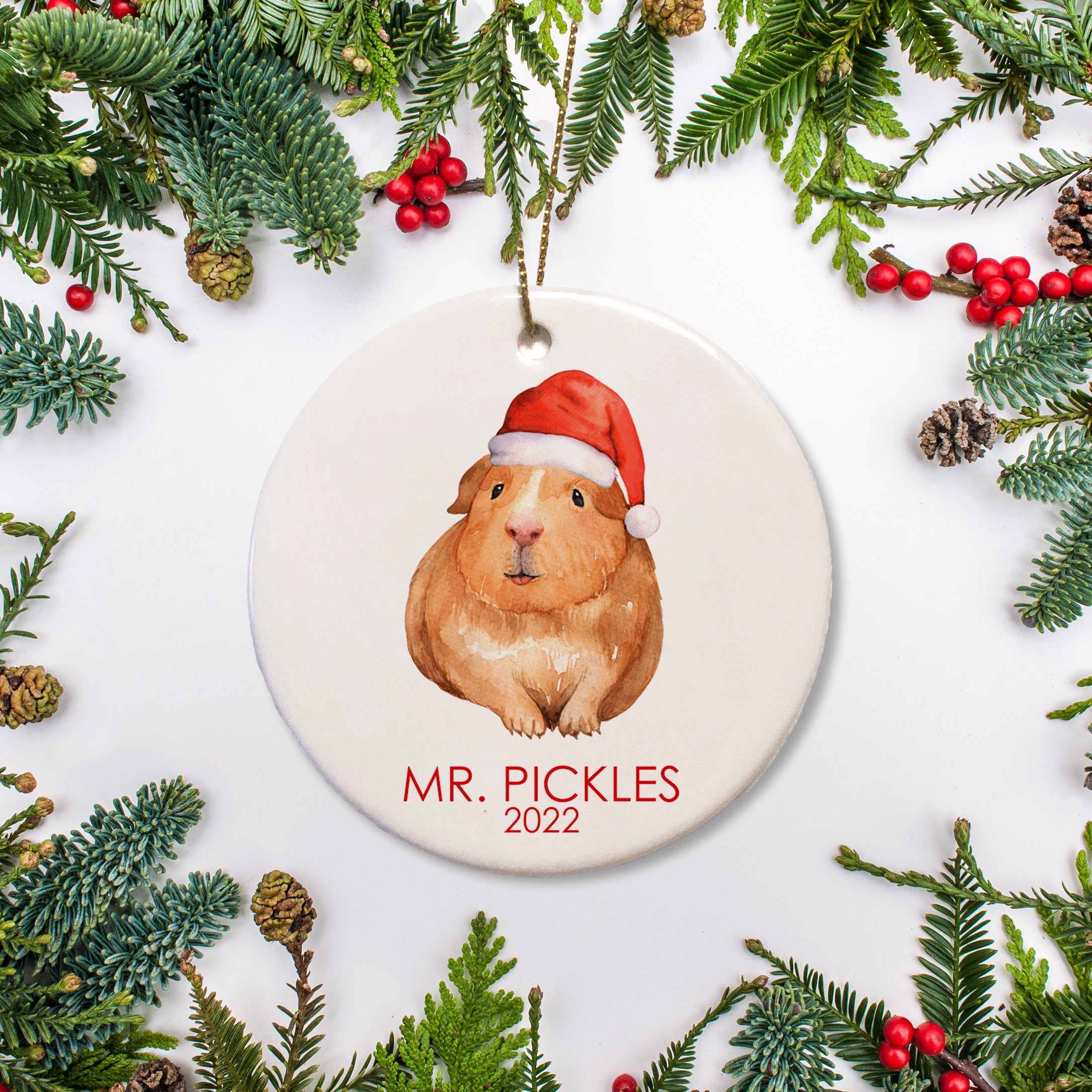 Guinea Pig Christmas Ornament Pipsy - Main Image
