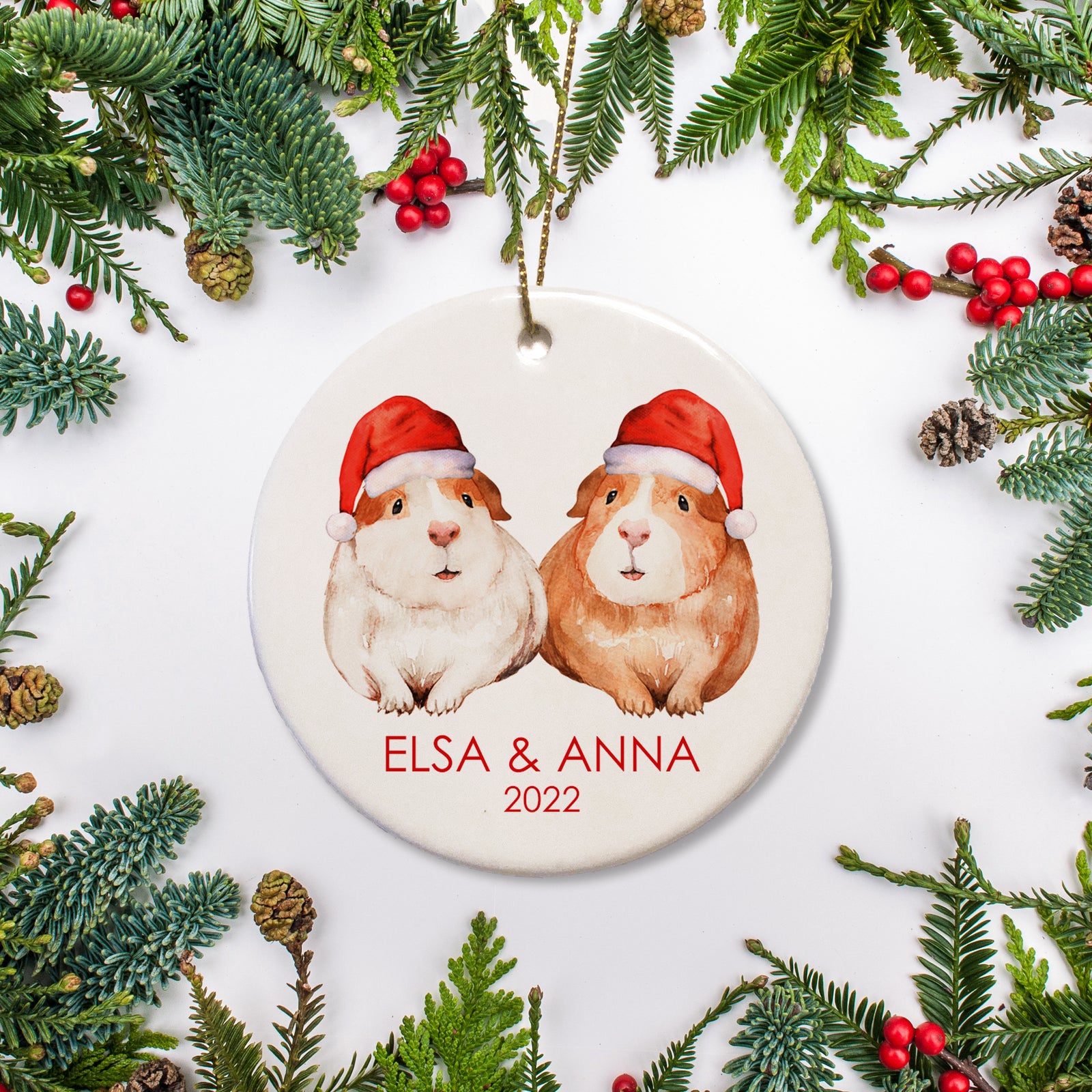 Pet Guinea Pig Personalized Ornament | Pipsy.com