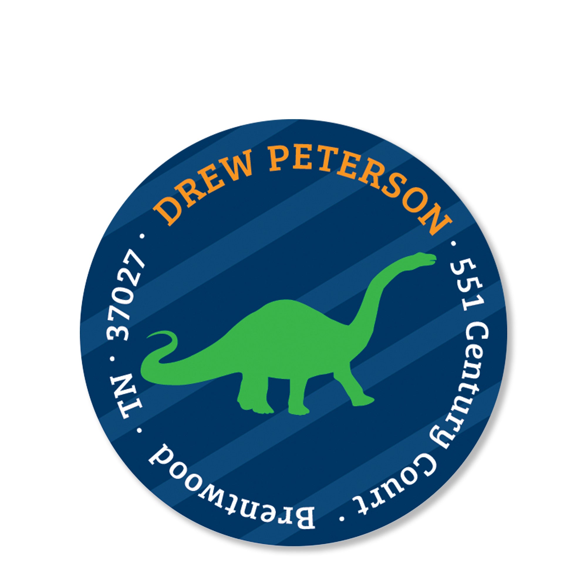 Dinosaur Party Return Address Sticker | Swanky Press | Round