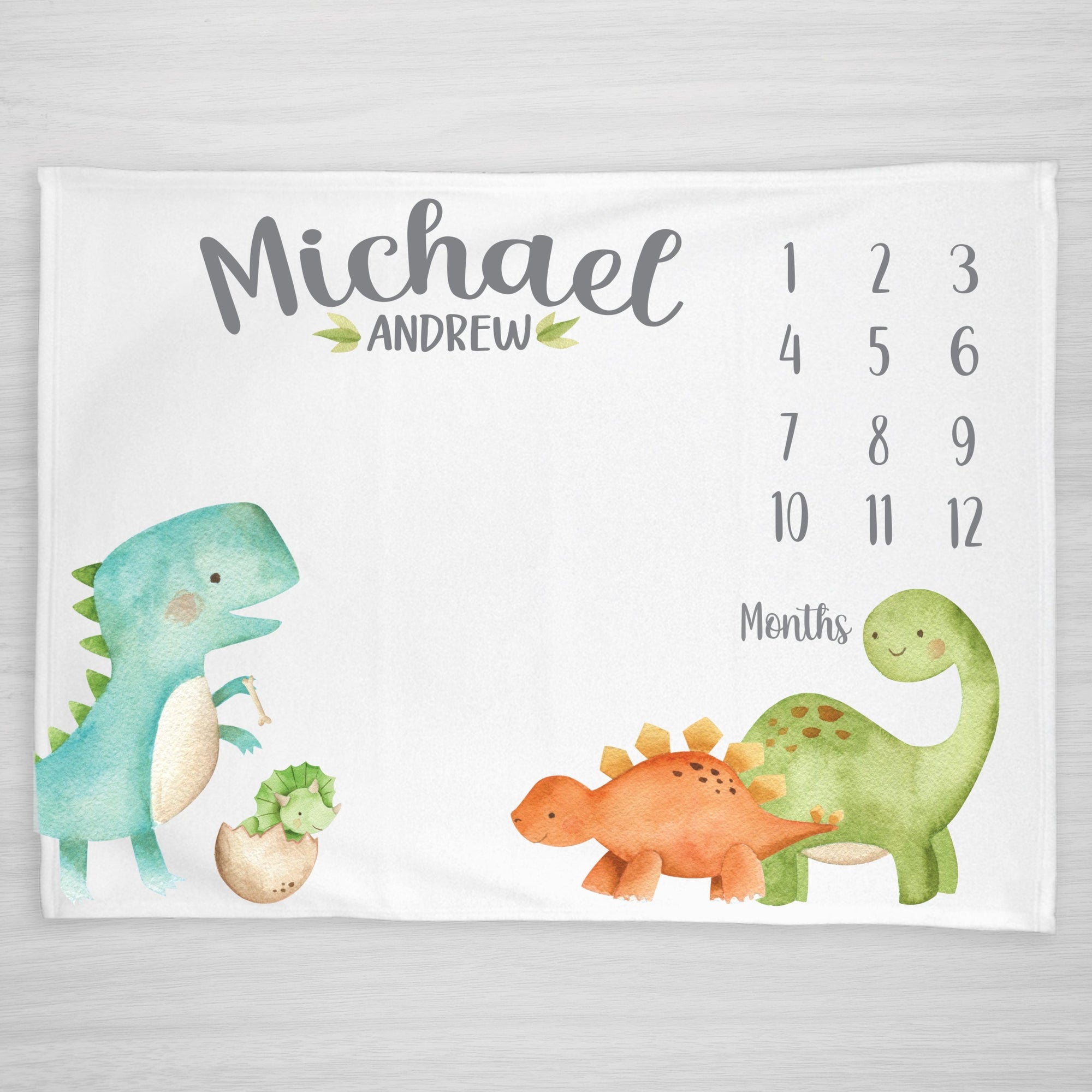Dinosaur Personalized Milestone Baby Blanket, for boys or girls, featuring a trex, brontosaurus, stegosaurus, and triceratops, from Pipsy.com