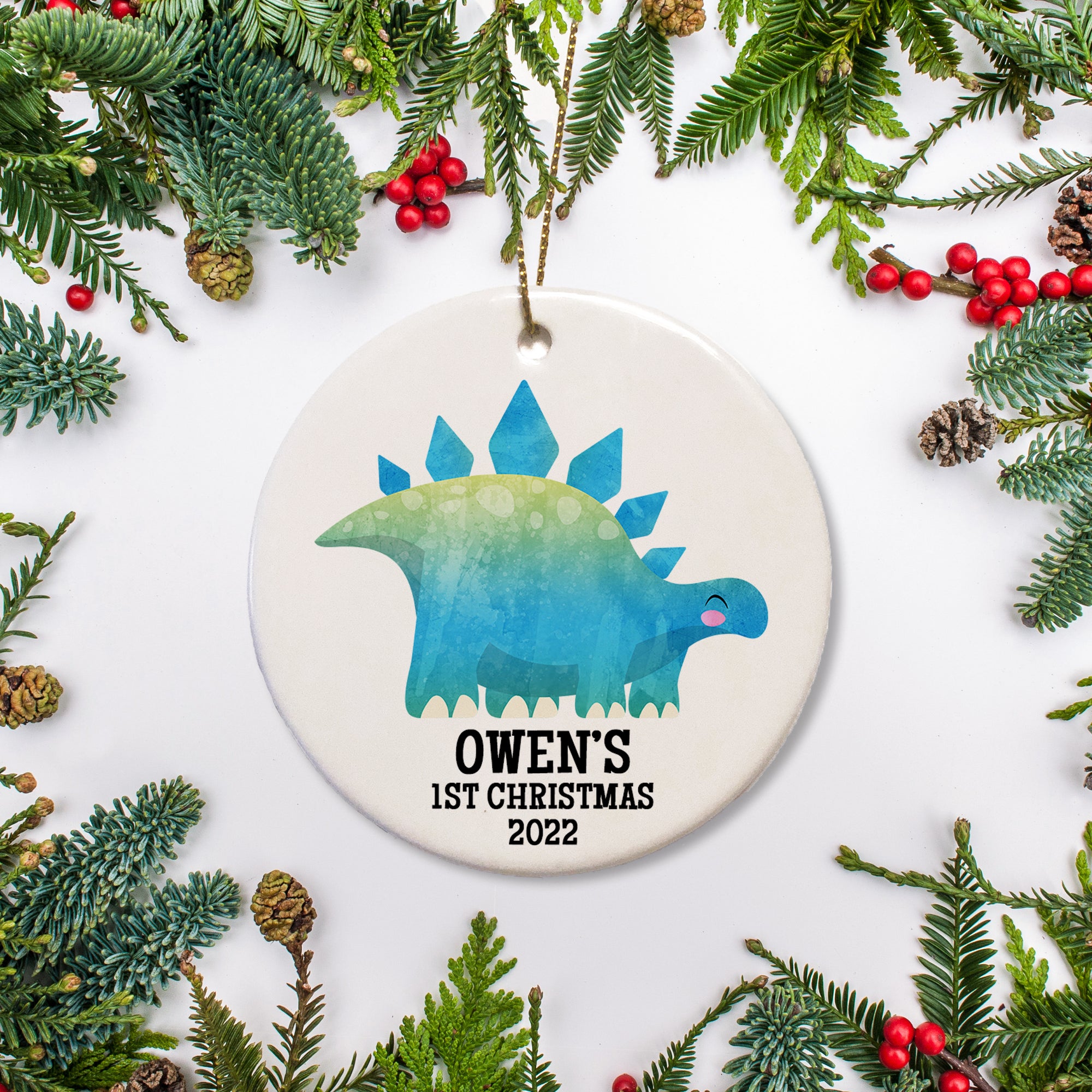 Stegosaurus personalized Christmas ornament | Pipsy.com