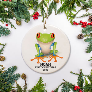 Best Tree Frog Gift | Personalized Christmas ornament| Pipsy.com